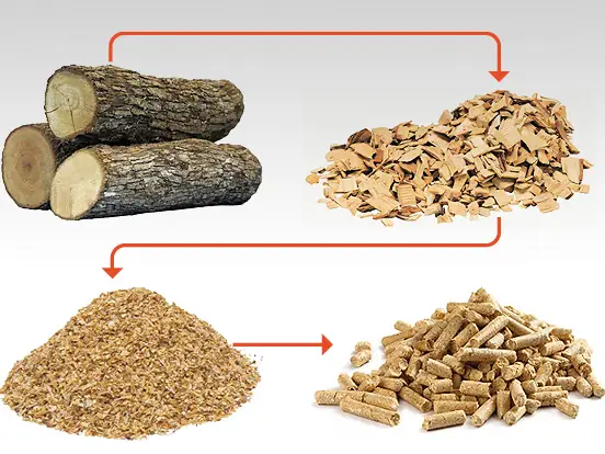 Proceso fabricación del pellet
